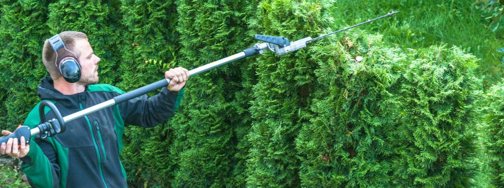 Ben jij op zoek naar een baan binnen de overheid? Pernu is op zoek naar een Medewerker Groen voor de Dienst Justitiële Inrichtingen (DJI) in Almelo. Lijkt het jou leuk om deze functie uit te oefenen? Solliciteer dan meteen! Deze vacature staat alleen open voor kandidaten met een Wajong uitkering, doelgroepregistratie en Indicatie banenafspraak.